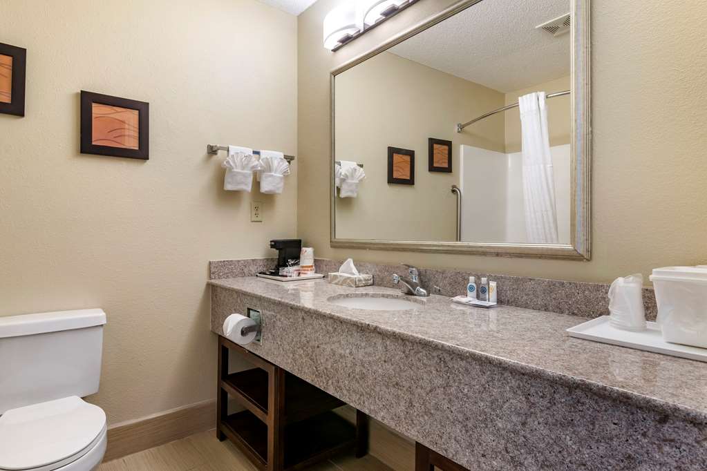 Comfort Inn & Suites Statesboro University Area - photo 16