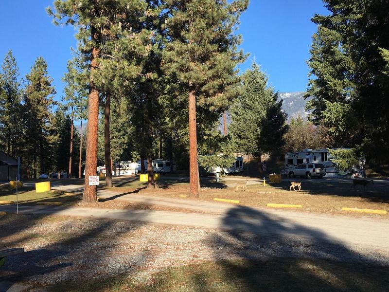 Rimrock Lodge LLC - photo 2