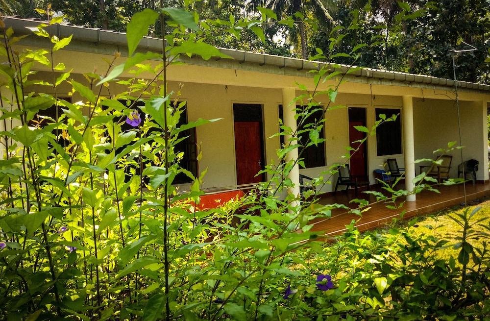 Deer Garden Guest in Polonnaruwa, Sri Lanka