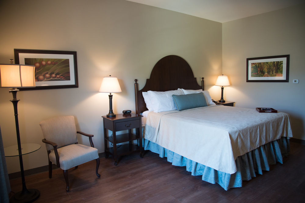 Chateau Saint Denis Hotel - photo 8
