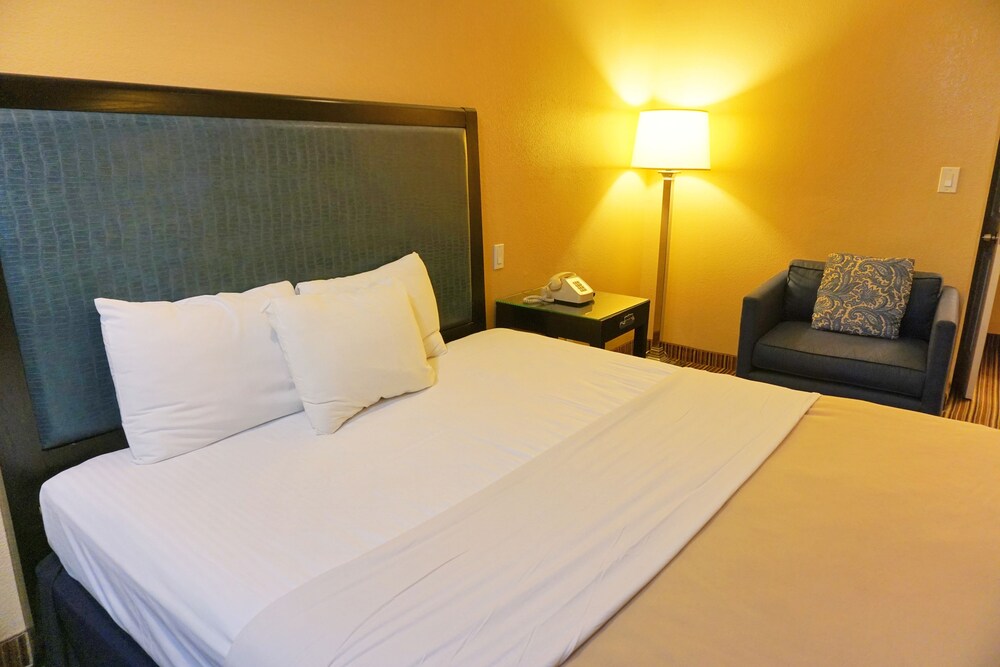 Hollywood Inn Express South - photo 14