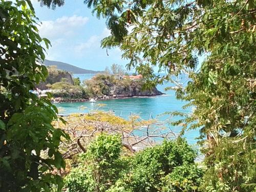 Maison Tamarin — 4-Star Luxury Hotel in Bouillante, Guadeloupe
