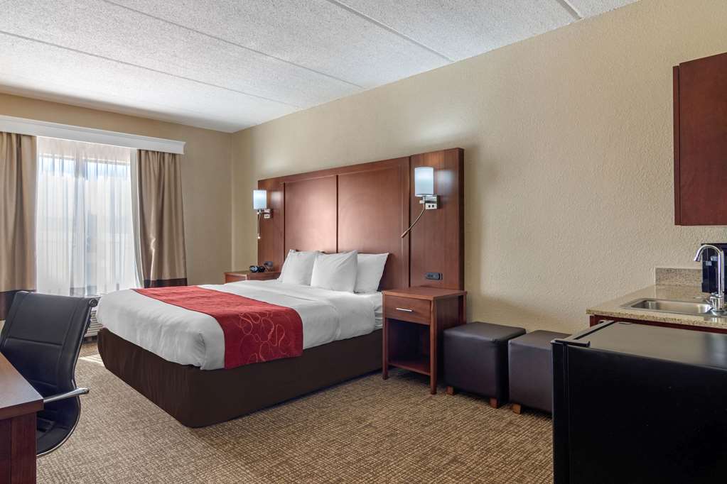Comfort Suites Woodstock Atlanta North - photo 6