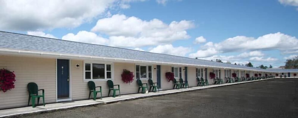 The Bluebird Motel - photo 15