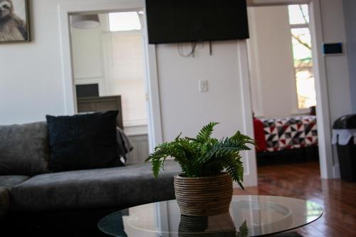 A Luxurious 5 star Location 2 QUEEN Bed s TROY — Troy — photo 4