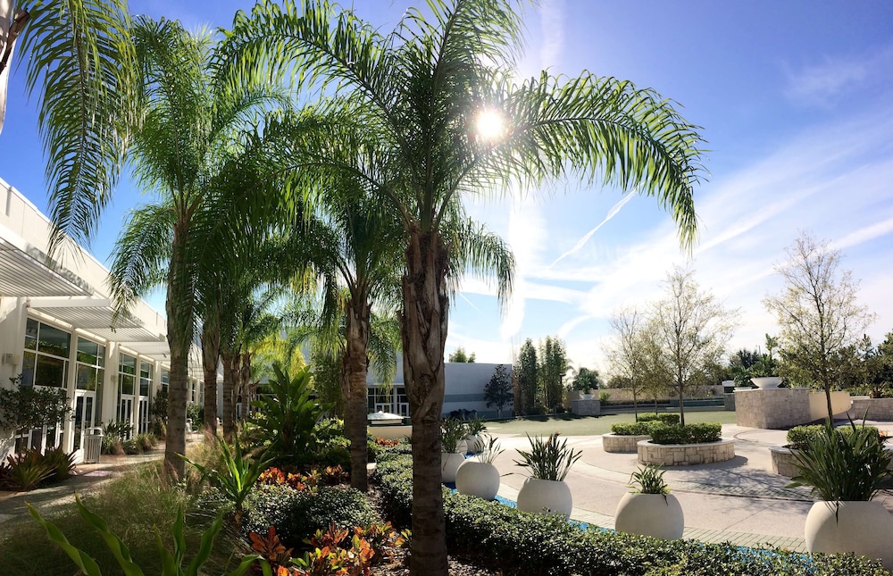Hilton Orlando - photo 89