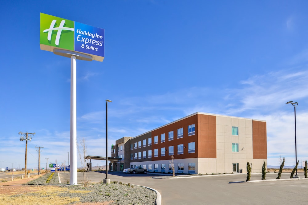 Holiday Inn Express & Suites Van Horn by IHG - photo 58