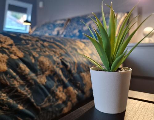 The Penthouse NY Loft Apartment — 4-Star Luxury Hotel in Barmouth, United Kingdom