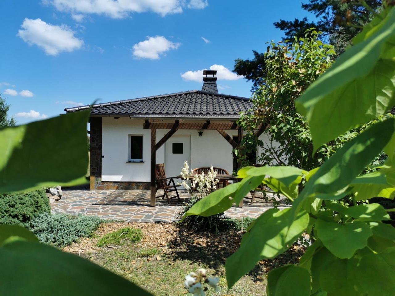 Ferienhaus Hase Bomsdorfer Hof — hotel in Graefenhainichen