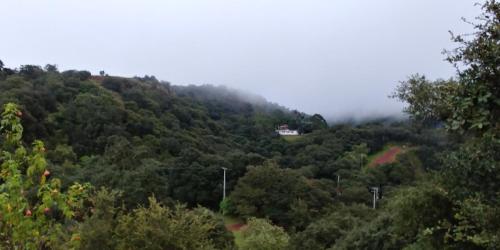 Hotel Roseville — Chignahuapan — photo 5
