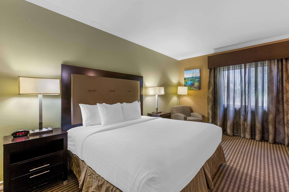 Royal Sun Hotel & Suites - photo 13