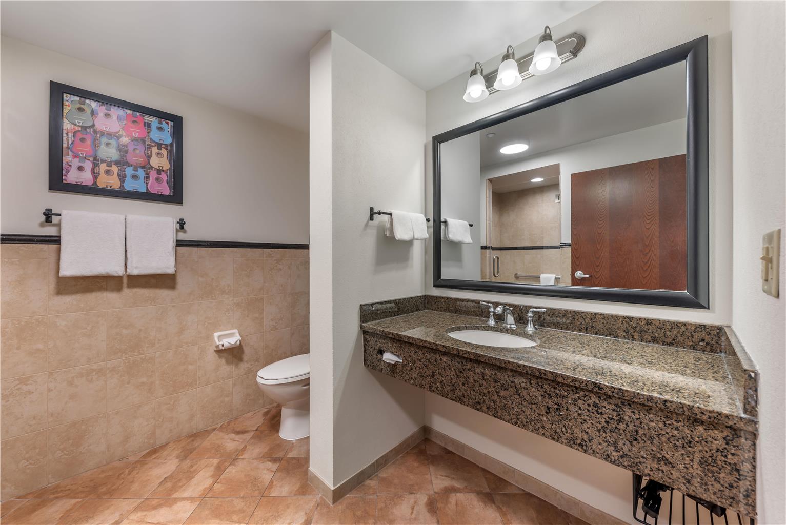 Drury Plaza Hotel San Antonio North Stone Oak - photo 29