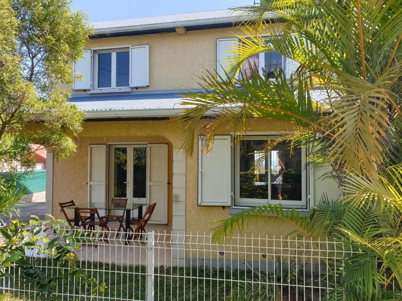 Le Beaucarnea in Le Tampon, Réunion