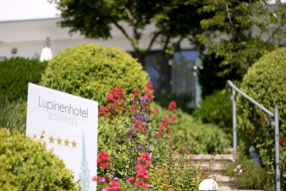 Lupinenhotel Bodensee — Sipplingen — photo 5
