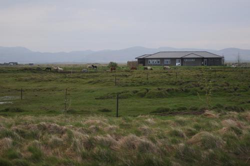 Guesthouse Nordheimar
