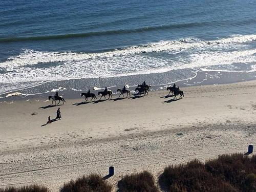 GRA902 Grand Atlantic Resort Oceanfront 9th Floor 3BR 3BA - photo 43