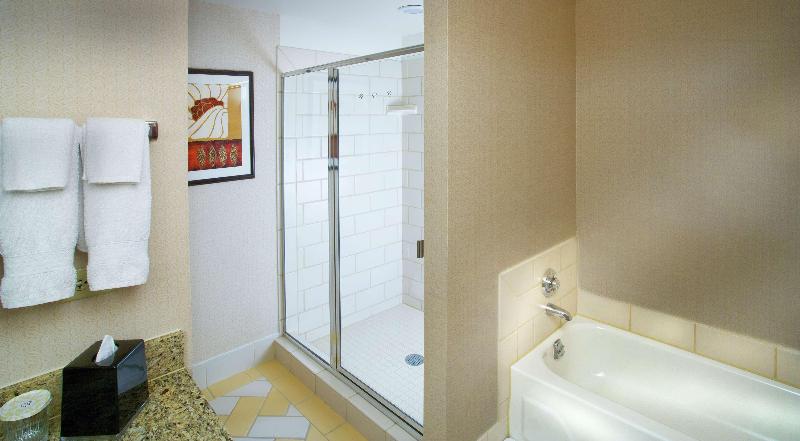 DoubleTree by Hilton Chicago O'Hare Airport Rosemont - photo 77