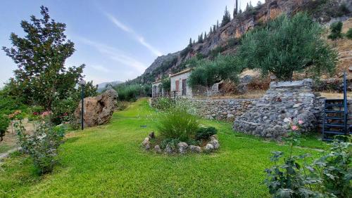 Homonatura Petrinum in Kalamata, Greece