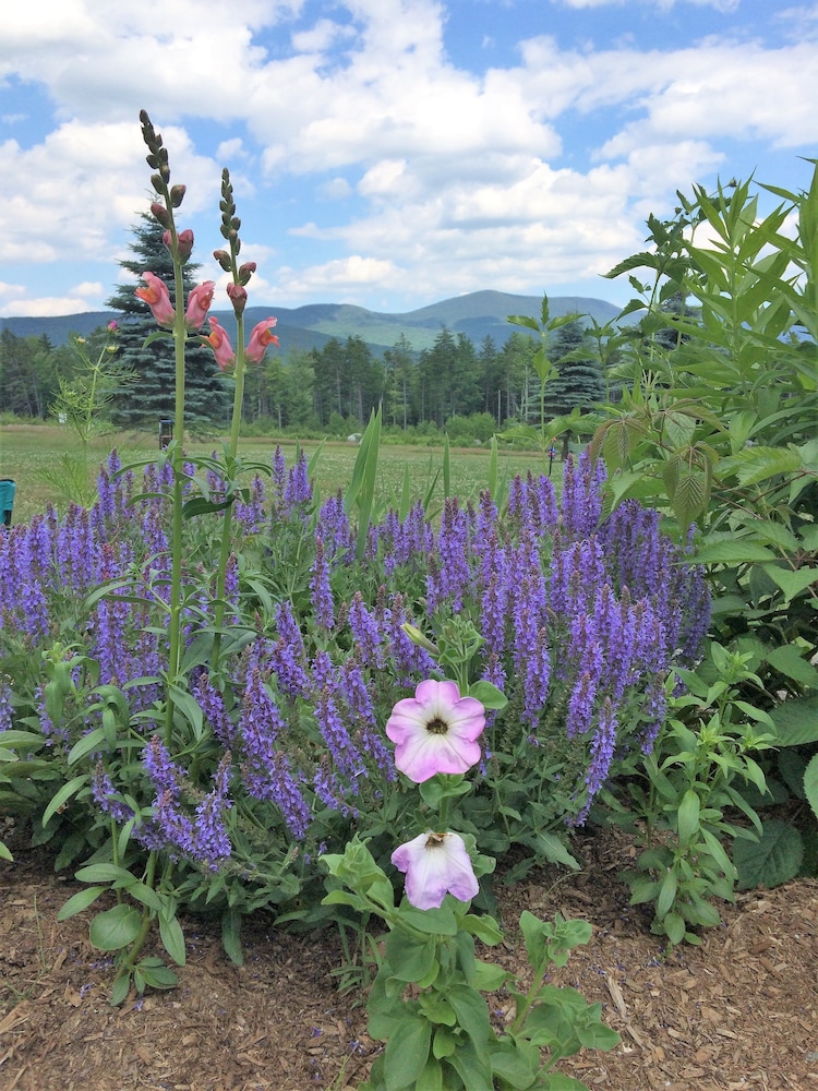 Robert Frost Mountain Cabins - photo 25