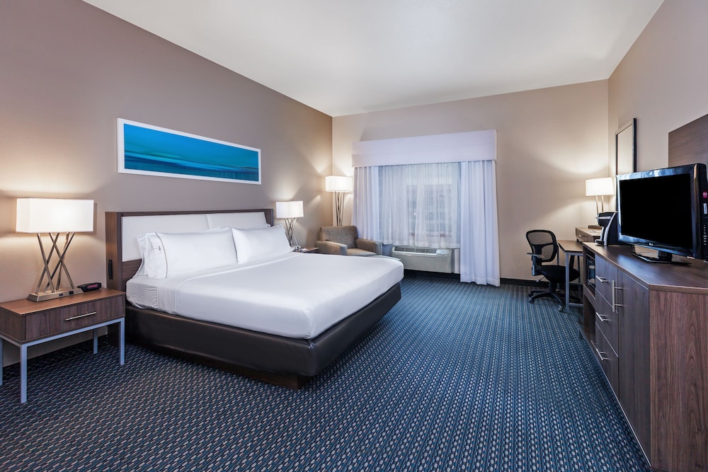 Holiday Inn Express Hotel & Suites Pharr by IHG - photo 11