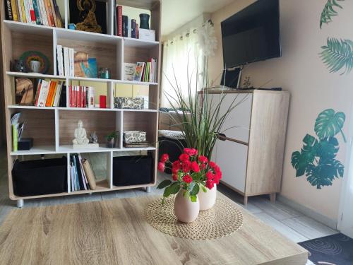 Studio Goya Climatise Et Jardin 2 Nuits Minimum in Castres, France