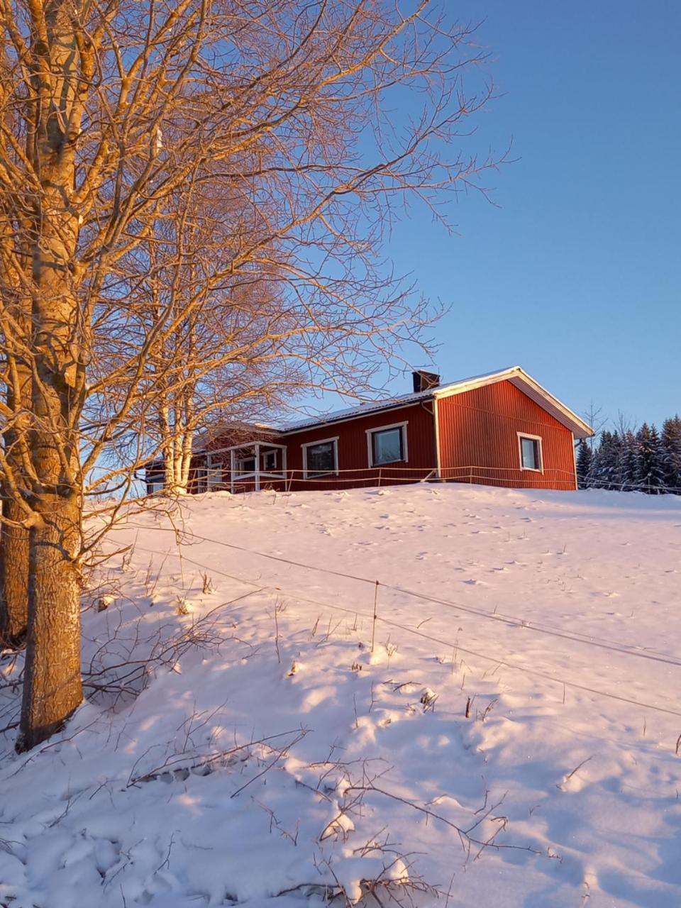 Naurismäki Iisalmi — 4-Star Luxury Hotel in Iisalmi, Finland