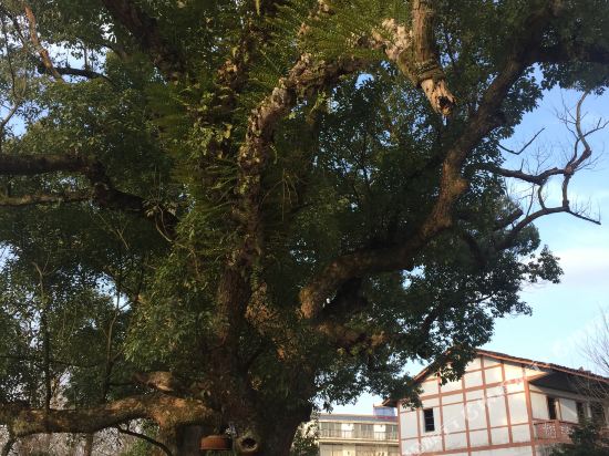 Longhuminsu in Guixi, People's Republic of China