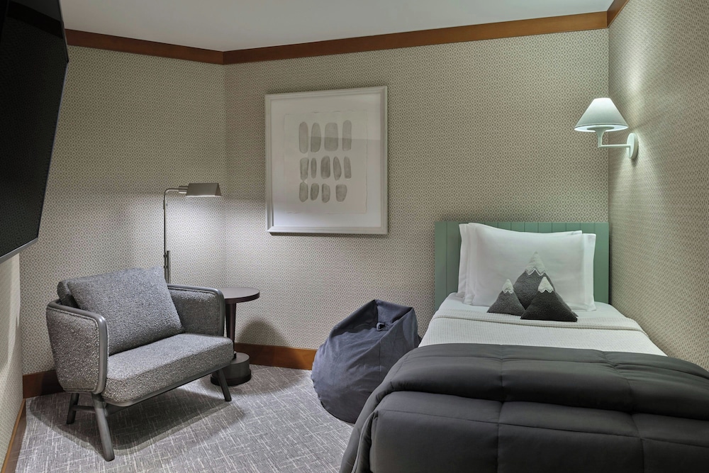 The Ritz Carlton Lake Tahoe - photo 43