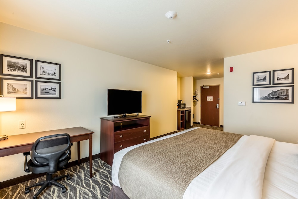 Cobblestone Hotel & Suites Chippewa Falls - photo 30