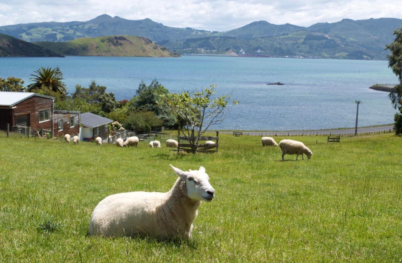 Roselle Farm Cottage — 4-Star Luxury Hotel in Dunedin, New Zealand