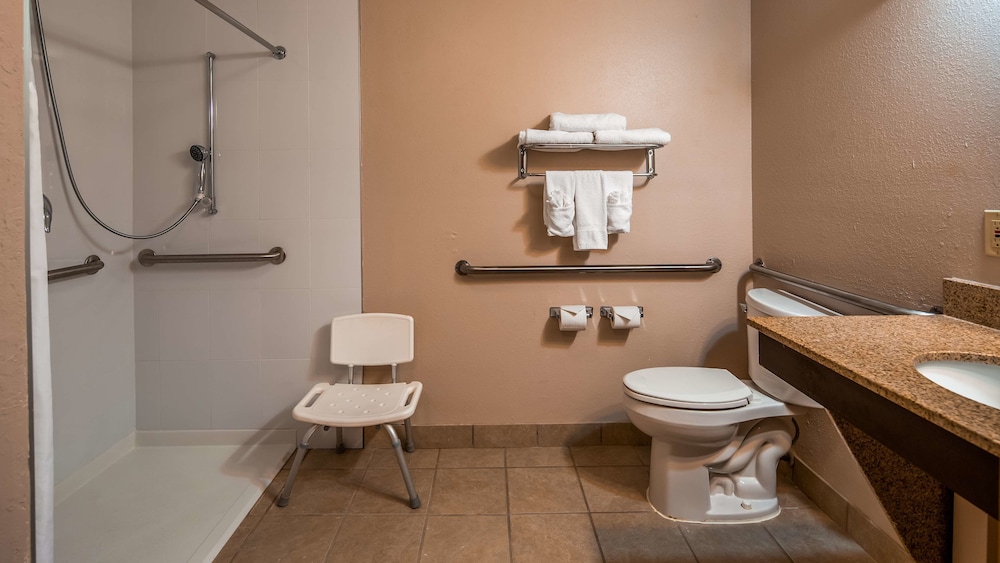 Best Western Plus Bradenton Hotel & Suites - photo 10