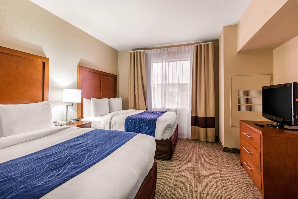 Comfort Inn & Suites IAH Bush Airport East - photo 15