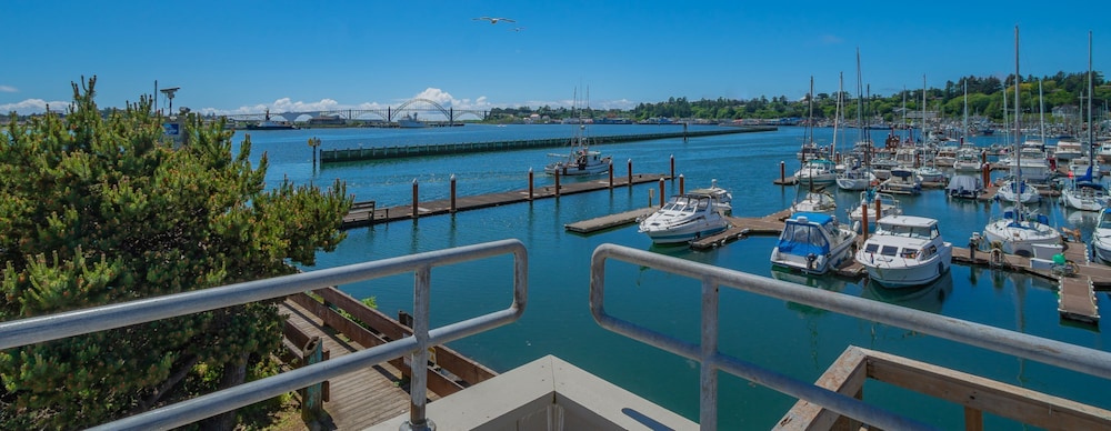 Embarcadero Resort Hotel & Marina - photo 91