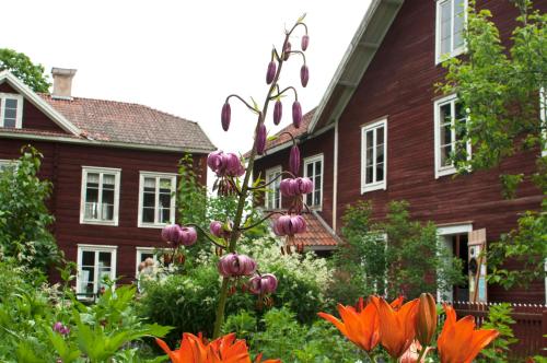 Halsingegarden Erik Anders 21073597 — Soederhamn