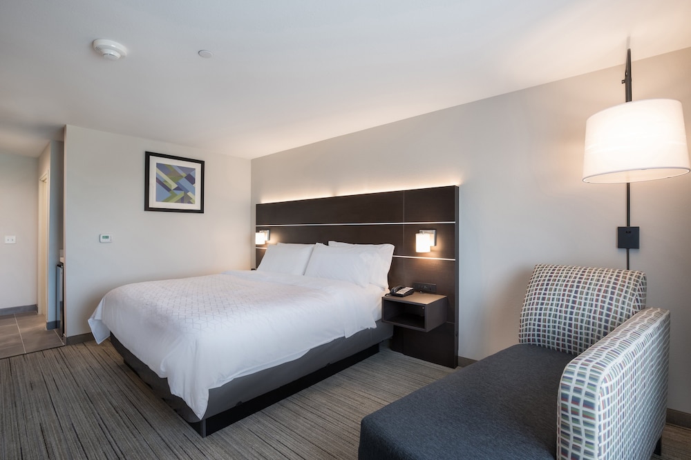 Holiday Inn Express & Suites Chicago Hoffman Estates by IHG - photo 11