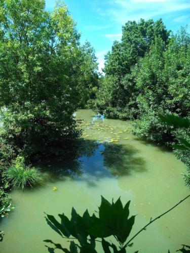 Oneiro Nisos — Maillezais — photo 2