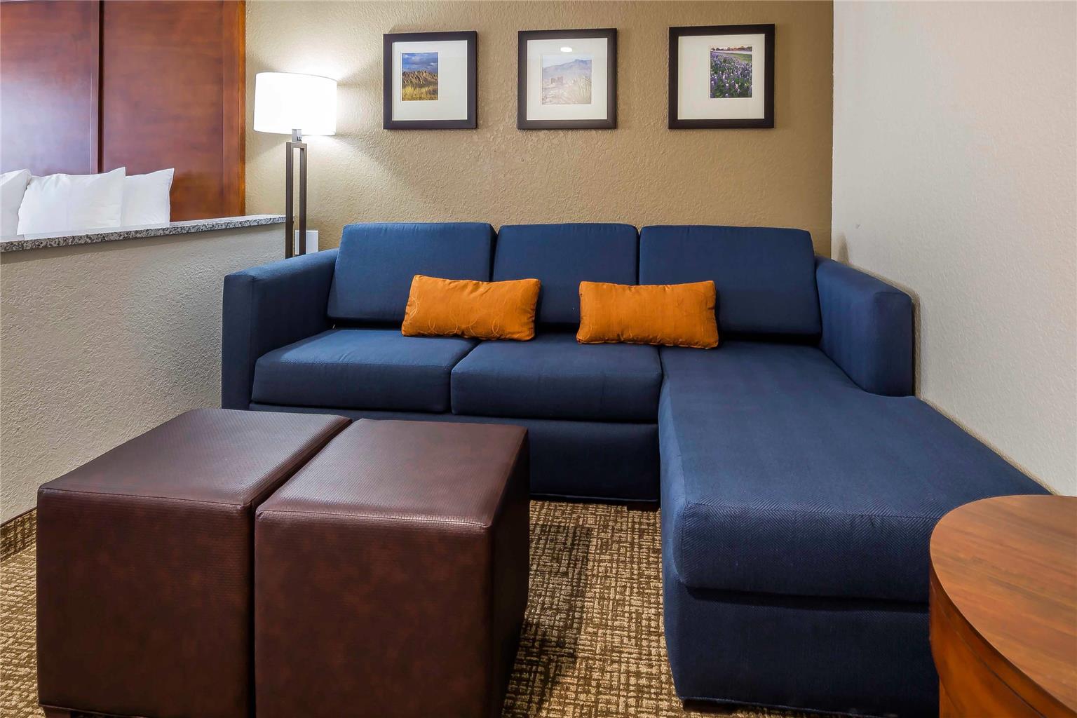 Comfort Suites El Paso Airport - photo 11