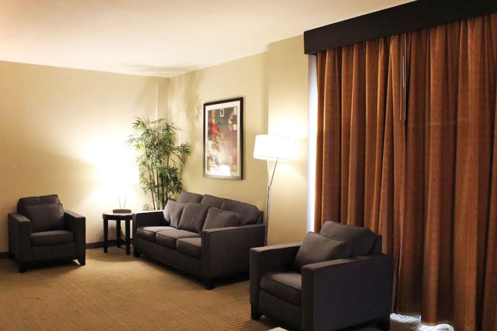 Embassy Suites by Hilton Laredo - photo 10
