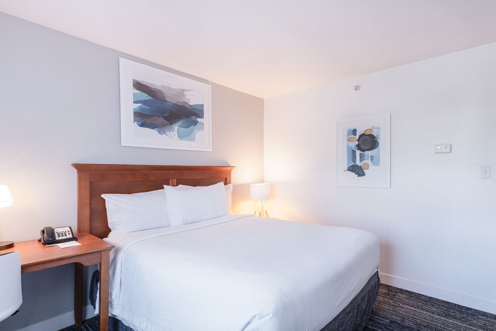 TownePlace Suites by Marriott Quantico Stafford - photo 19