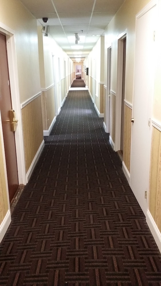 Europa Hotel - photo 51