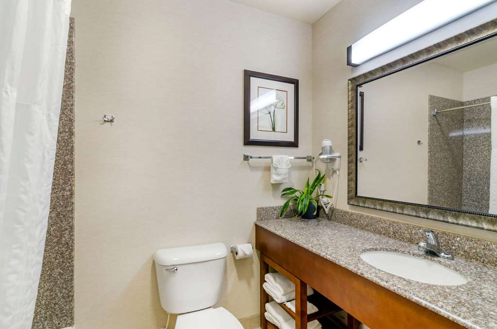 Comfort Inn & Suites near Bethel College - photo 39