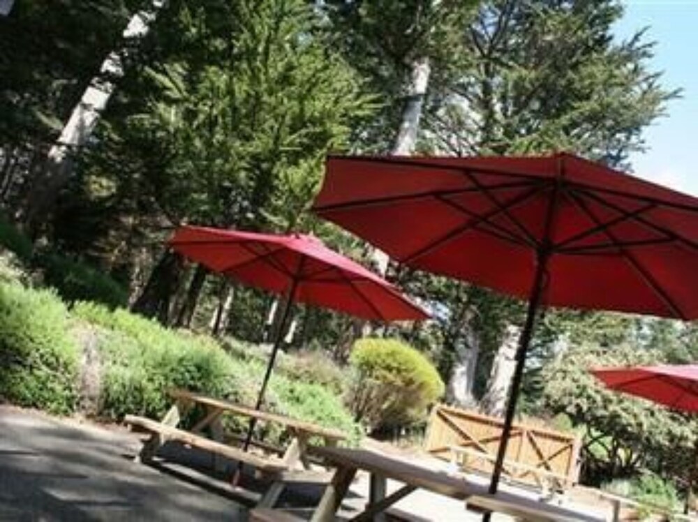 SCP Mendocino Inn and Farm - photo 111