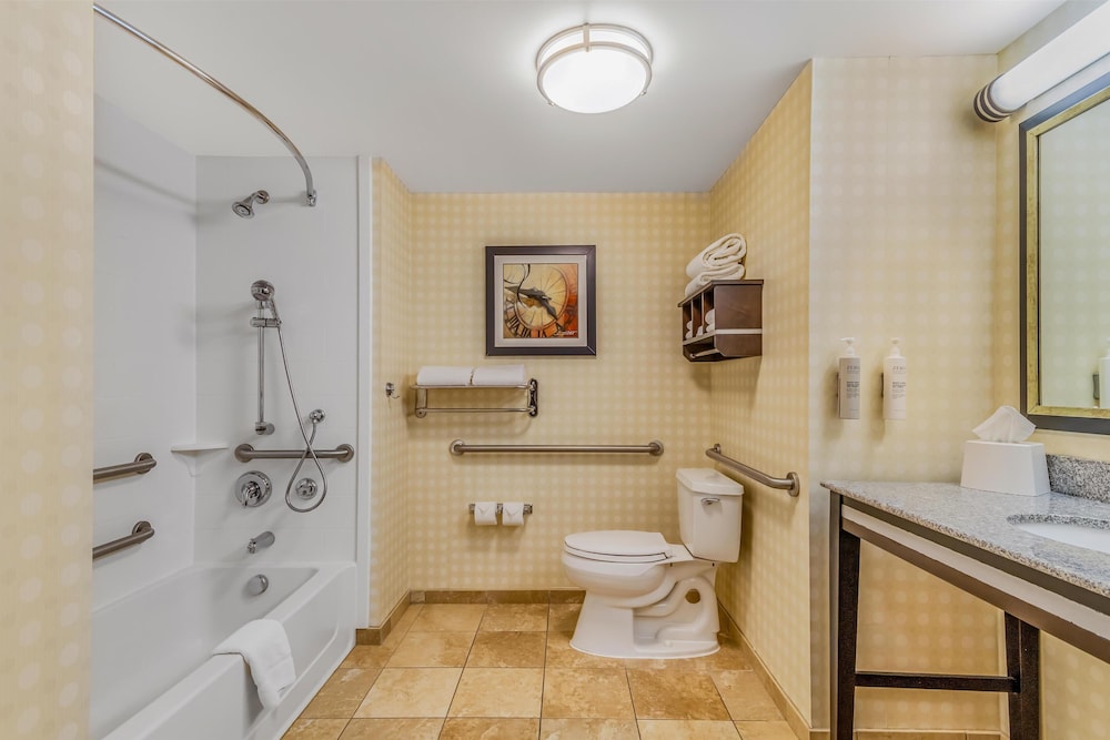 Hampton Inn & Suites Detroit Airport Romulus - photo 25