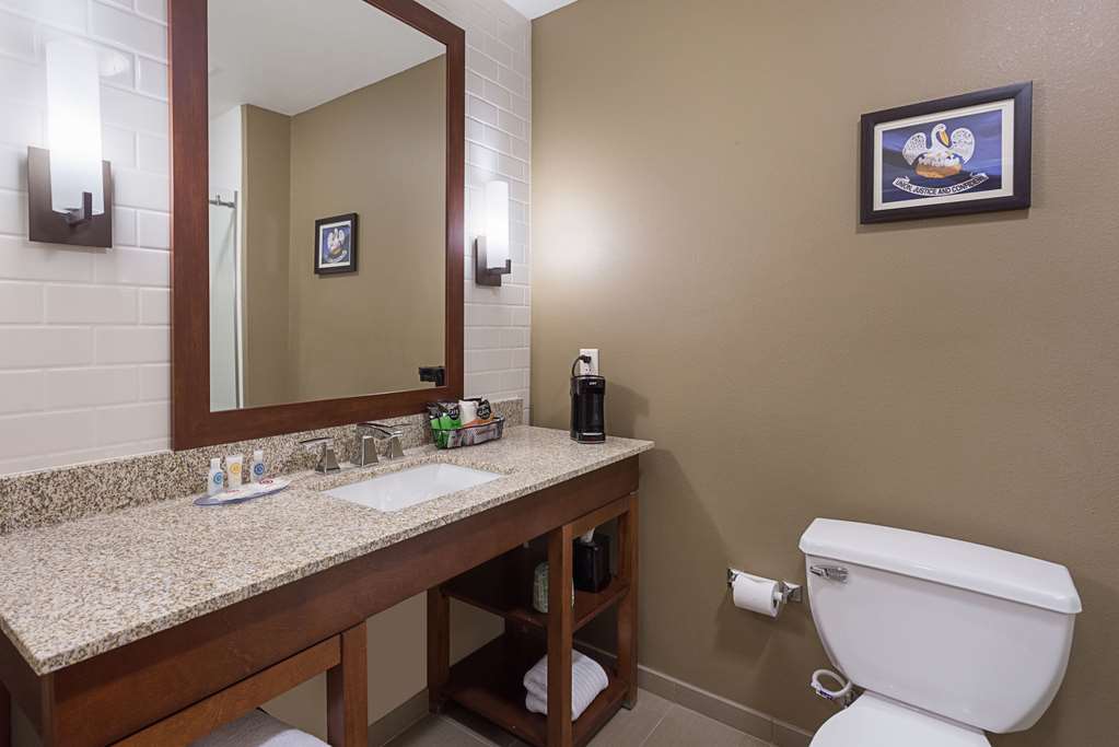 Comfort Inn & Suites Zachary - photo 27