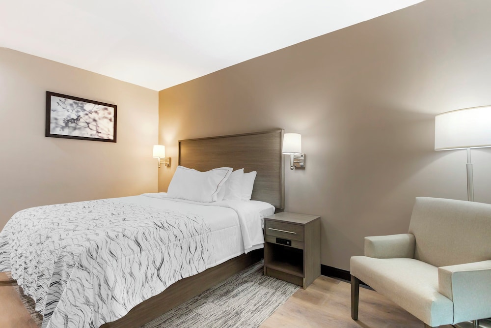 Red Roof Inn Plus Jamaica Ny Jfk Airport - photo 11
