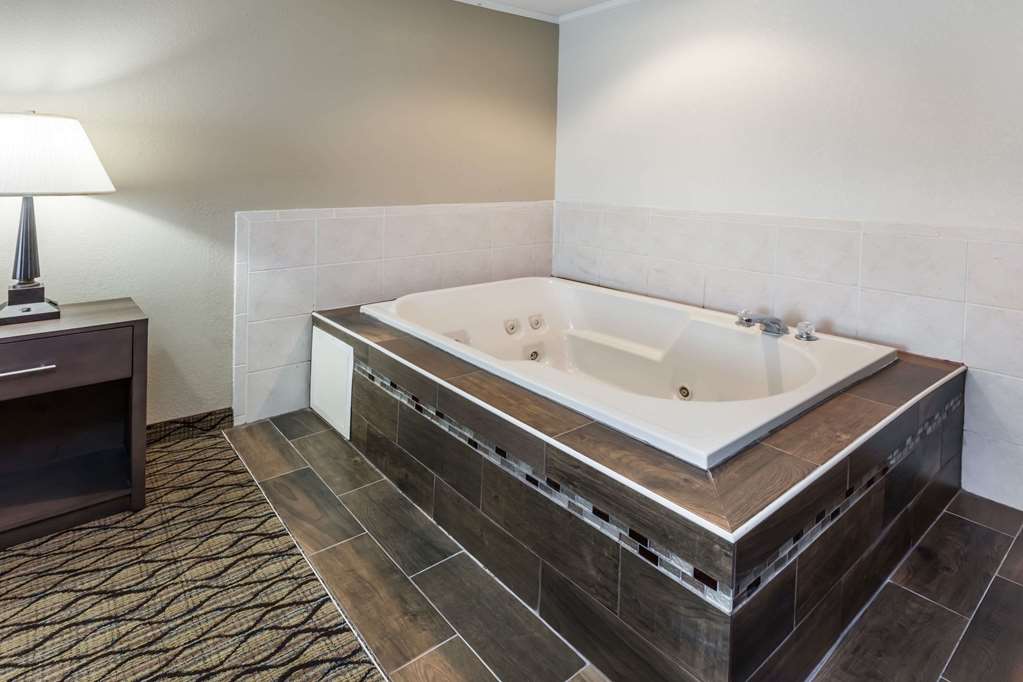 Baymont by Wyndham Auburn - photo 14