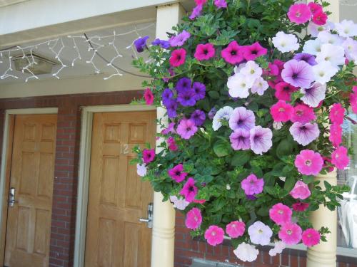 Monticello Motel - photo 4