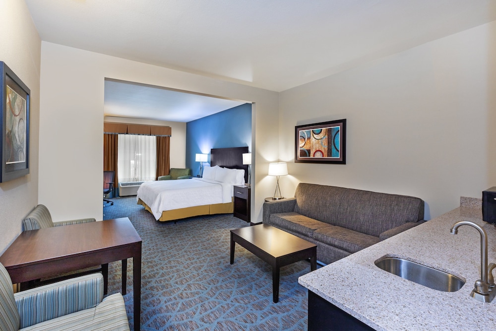Holiday Inn Express & Suites Floresville by IHG - photo 10