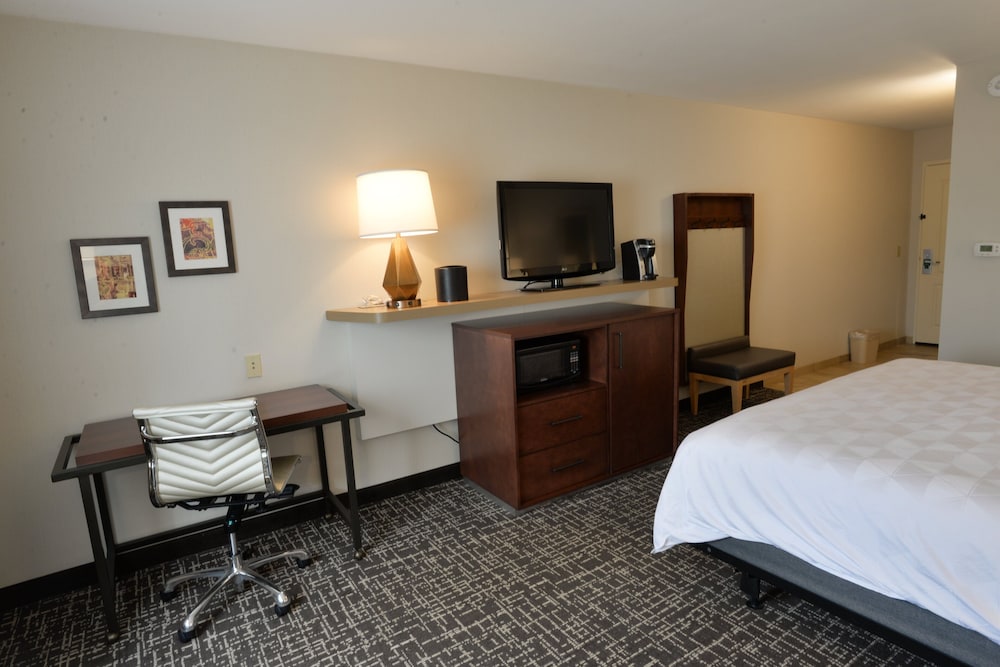 Holiday Inn Hotel & Suites Minneapolis Lakeville by IHG - photo 9