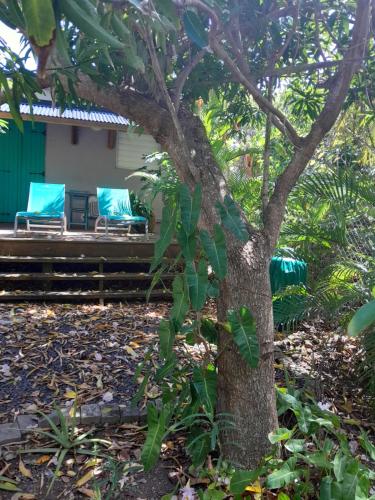 Douceur de la mer des caraibes in Sainte-Rose, Guadeloupe